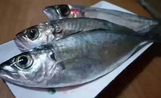 海南,绿色崛起的热带天堂之旅