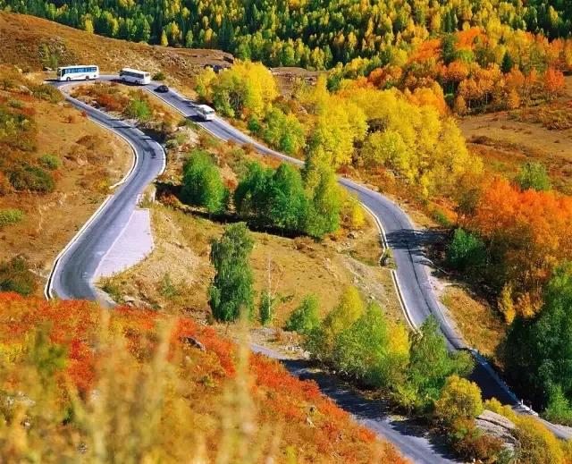 丝路明珠，新疆千年回响之谜